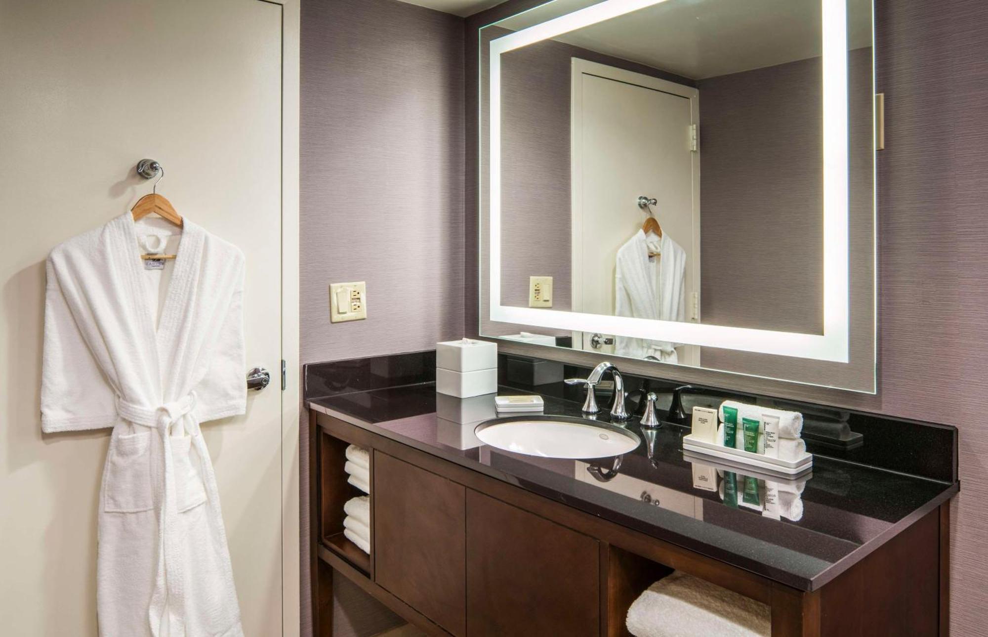 Hilton Washington Dc/rockville & Executive Meeting Center 3* Rockville